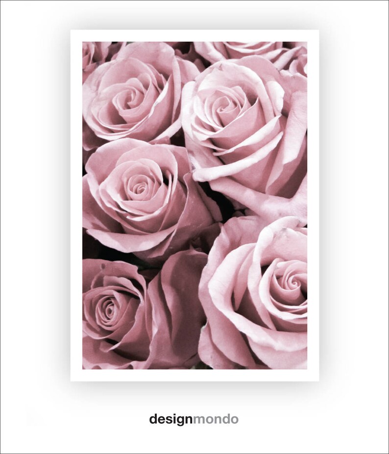 Roses Prints Blush Pink Roses Wall Artmodern Home Decor Etsy