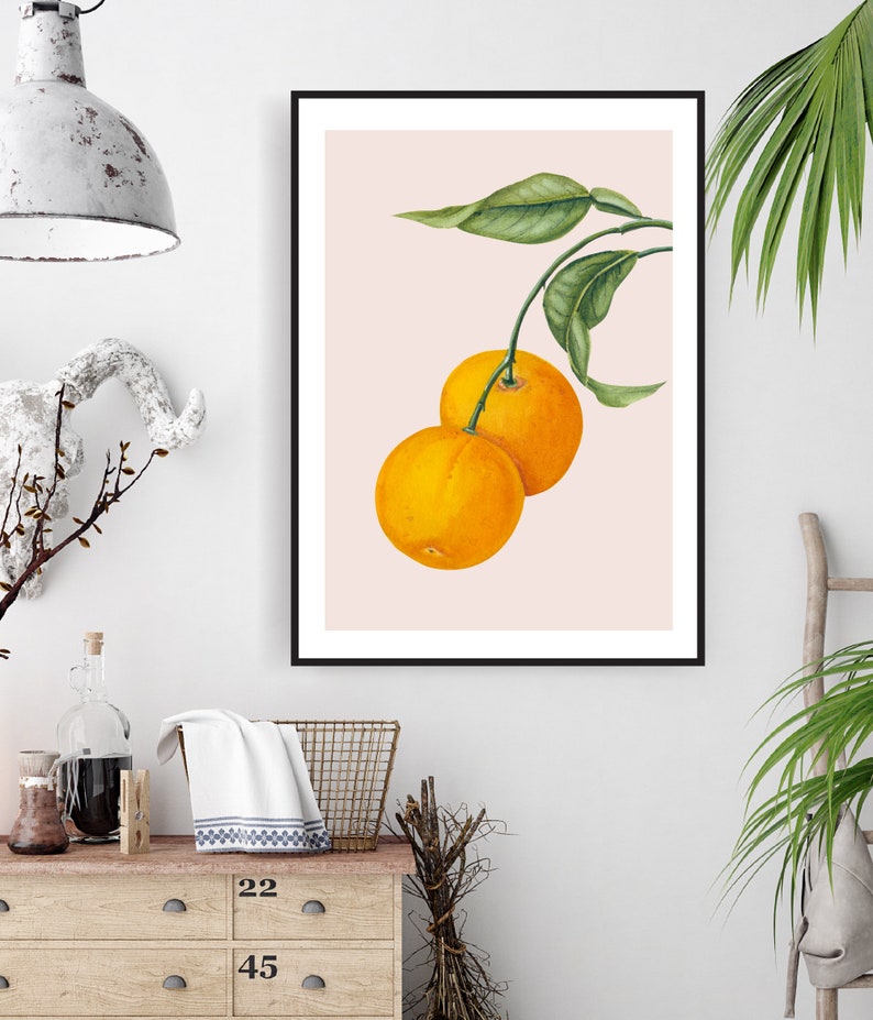 Kitchen Wall Art Oranges Watercolour Print Citrus Painting Etsy