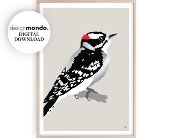 Descarga instantánea de Downy Woodpecker, pintura de pájaro carpintero, impresiones de vida silvestre americana, arte original de Downy Woodpecker, aves de jardín de América del Norte