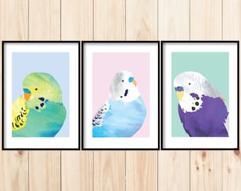 Bird Wall Art Set, Budgie Print Set, Canary Prints, Painted Birds Wall Art, Set of 3 Prints, Instant Download Print Set, Budgerigar Prints