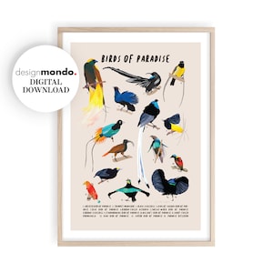 Paradiesvögel Wandkunst, druckbare Vogel Drucke, exotische Vögel Druck, Vögel Wandkunst, Paradiesvögel Download, tropische Wohnkultur,