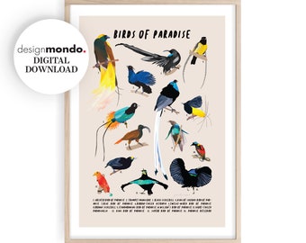 Birds of Paradise Wall Art, Printable Bird Prints, Exotic Birds Print, Birds Wall Art, Birds of Paradise Download, Tropical Home Decor,