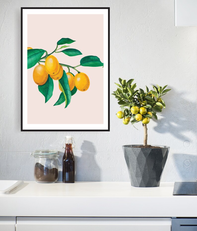 Food Wall Art Watercolour Food Prints Cumquats Printable Etsy UK