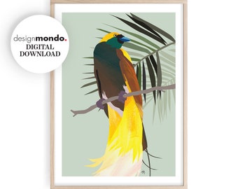 Greater Bird of Paradise Wall Art, Printable Bird Art, Australasian Tropical Birds, Birds Prints, Birds of Paradise Download, Tropics Prints