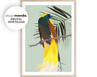 Arte de parede da Grande Ave do Paraíso, arte de pássaros para impressão, pássaros tropicais da Australásia, impressões de pássaros, download de pássaros do paraíso, impressões de trópicos