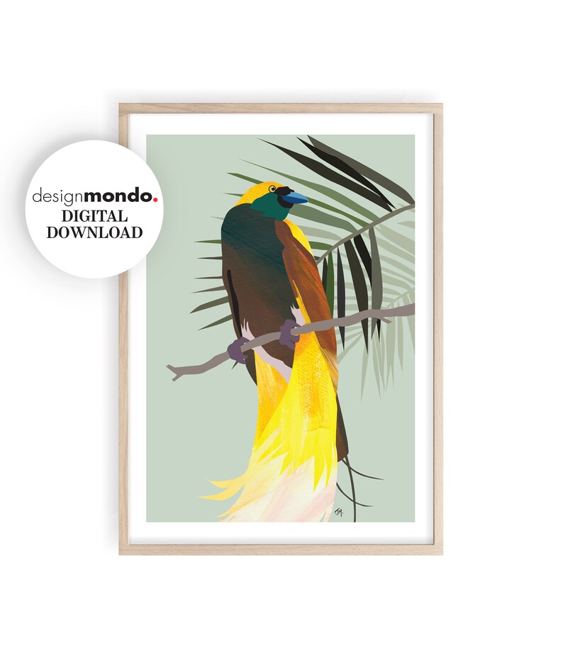 Greater Bird of Paradise Wall Art, Printable Bird Art, Australasian Tropical Birds, Birds Prints, Birds of Paradise Download, Tropics Prints image 1
