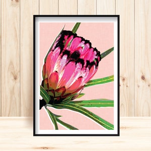 Protea Art Prints, Downloadable Protea Prints, Protea Wall Art, Protea Flower Print, Botanical Posters, King Protea, Protea Printable, Flora