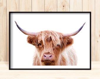 Cow Prints, Large Highland Cow Print, Printable Cow Poster, Modern Cow Wall Art, Farm Animal Decor, Animal Wall Print, Popular Cow Decor