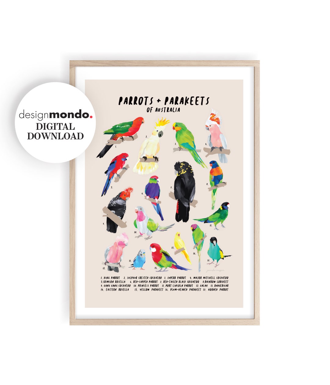 Parrots Chart, Parrots and Parakeets Identification Chart, Birds Chart