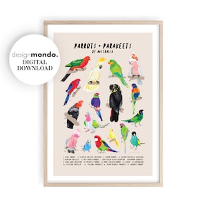 Parrots Chart, Parrots and Parakeets Identification Chart, Birds Chart, Australian Birds Chart, Parrots Field Guide, Birdwatching Wall Art