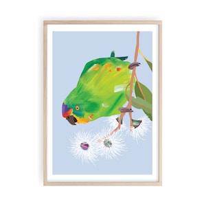 Australian Bird Printable, Colourful Parrot Prints, Swift Parrot Painting, Endangered Birds Wall Art, Bird Painting, Original Bird Art, Bird