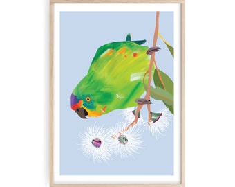 May include: A green and orange parrot perched on a branch with white flowers. The parrot has a bright orange beak and a purple patch around its eye. The background is a light blue.
