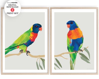Conjunto de impressão Rainbow Lorikeets 2, download do conjunto de impressão de papagaios, pássaros coloridos para impressão, conjunto de 2 arte de parede de pássaros nativos australianos, 2 Lorikeets