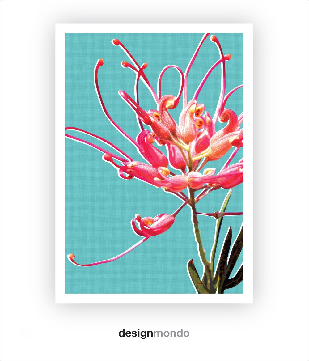 Grevillea Print Grevillea Wall Art Native Flower Print Etsy