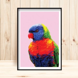 Rainbow Lorikeet Prints, Colorful Parrot Printable, Australian Parrot Wall Art, Bird Prints, Rainforest Decor, Lorikeet Wall Art, Parrot Art