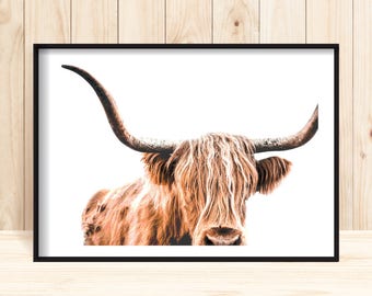 Highland Cow Print, Cow Printable, Wildlife Photography, Animal Prints, Animal Wall Art, Scottish Animals, Cow Wall Art, Large Wall Art, Cow