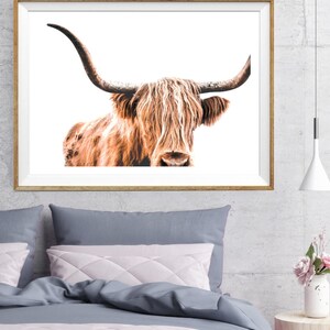 Highland Cow Print, Cow Printable, Wildlife Photography, Animal Prints, Animal Wall Art, Scottish Animals, Cow Wall Art, Large Wall Art, Cow image 5