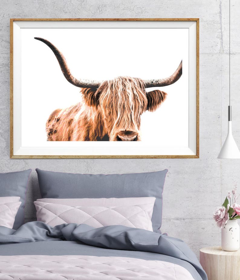 Highland Cow Print, Cow Printable, Wildlife Photography, Animal Prints, Animal Wall Art, Scottish Animals, Cow Wall Art, Large Wall Art, Cow image 5