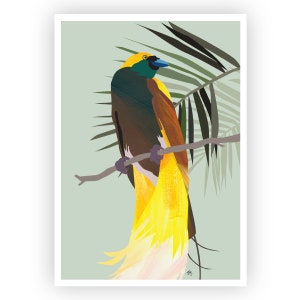 Greater Bird of Paradise Wall Art, Printable Bird Art, Australasian Tropical Birds, Birds Prints, Birds of Paradise Download, Tropics Prints image 2