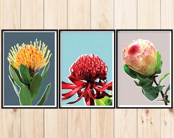 Arte de pared de flores silvestres, conjunto de 3 estampados de flores, flor nativa australiana, descarga de Protea, estampados de pared de galería floral, conjunto de estampado floral de 3,