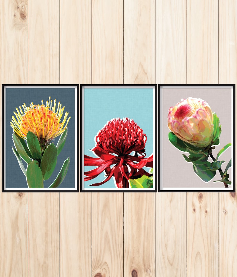 Wildflowers Wall Art Set of 3 Flower Prints Australian Etsy