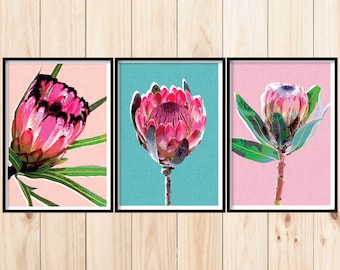 Triptych Wall Art, Protea Print Set, Set of 3 Wall Art, South African Flowers, Themed Floral Print Set, 3 Proteas, Set of 3 Botanical Prints