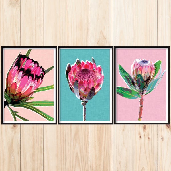 Triptychon Wandkunst, Protea-Druck-Set, 3er-Set Wandkunst, südafrikanische Blumen, thematisches Blumendruck-Set, 3 Proteas, Set aus 3 botanischen Drucken