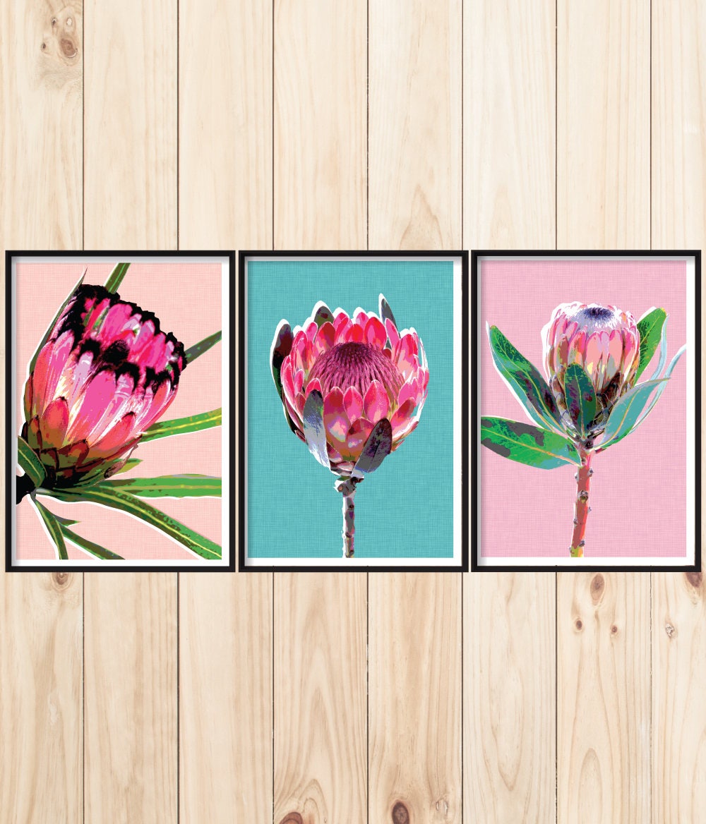 Triptych Wall Art Protea Print Set Set of 3 Wall Art South Etsy Australia