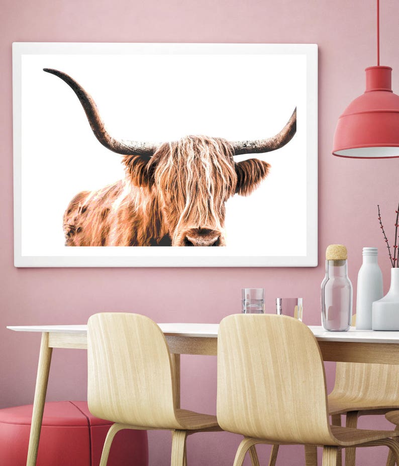 Highland Cow Print, Cow Printable, Wildlife Photography, Animal Prints, Animal Wall Art, Scottish Animals, Cow Wall Art, Large Wall Art, Cow image 6