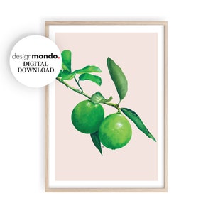 Limes Art Printable, Citrus Wall Art, Tropical Fruit Prints, Limes Illustration Download, Kitchen Wall Art, Watercolour Limes Art, Fruit Art