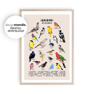 Arte de pared de pájaros cantores, impresiones de aves imprimibles, descarga de pájaros cantores australianos, arte de pared de aves, impresiones de aves australianas, decoración del hogar de la naturaleza, aves