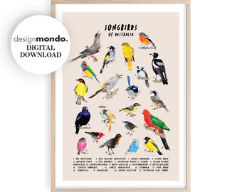 Arte de parede de pássaros canoros, impressões de pássaros para impressão, download de pássaros canoros australianos, arte de parede de pássaros, impressões de pássaros australianos, decoração de casa natural, pássaros