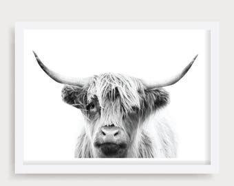 Highland Cow Wall Art, Black and White Cow Print, Cattle Photography, Cow Prints, Cow Printable, Animal Portrait, Printable Cow, Bull Prints