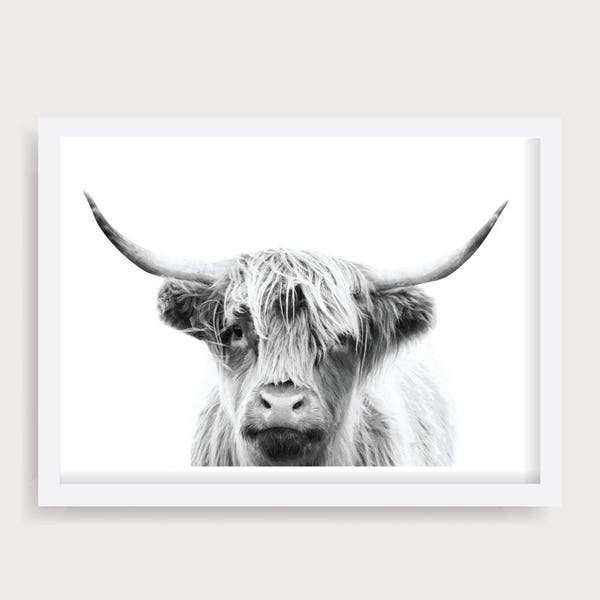 Highland Cow Wall Art, Black and White Cow Print, Cattle Photography, Cow Prints, Cow Printable, Animal Portrait, Printable Cow, Bull Prints