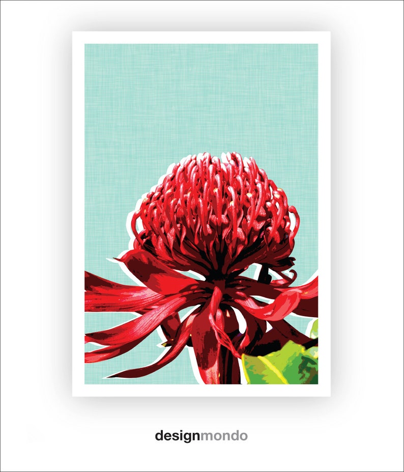 Floral Printable Waratah Prints Australian Flowers Wall Art Etsy