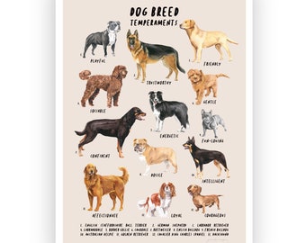 Dog Prints, Dog Identification Chart, Dog Printable, Dog Breeds Wall