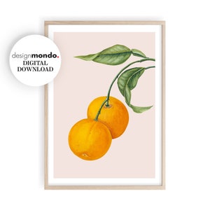 Kitchen Wall Art, Oranges Watercolour Print, Citrus Painting, Vintage Kitchen Prints, Fruit Illustration Art, Kitchen Wall Decor, Fruit Art