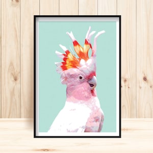 Galah Wall Art, Australian Parrot Prints, Major Mitchell Cockatoo, Pink Parrot, Galah Printables, Parrot Art, Parrot Instant Download, Cocky