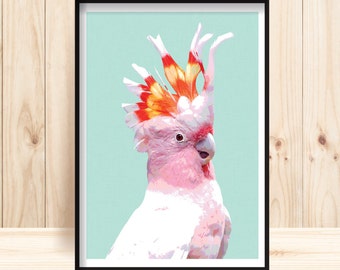 Galah Wall Art, Australian Parrot Prints, Major Mitchell Cockatoo, Pink Parrot, Galah Printables, Parrot Art, Parrot Instant Download, Cocky