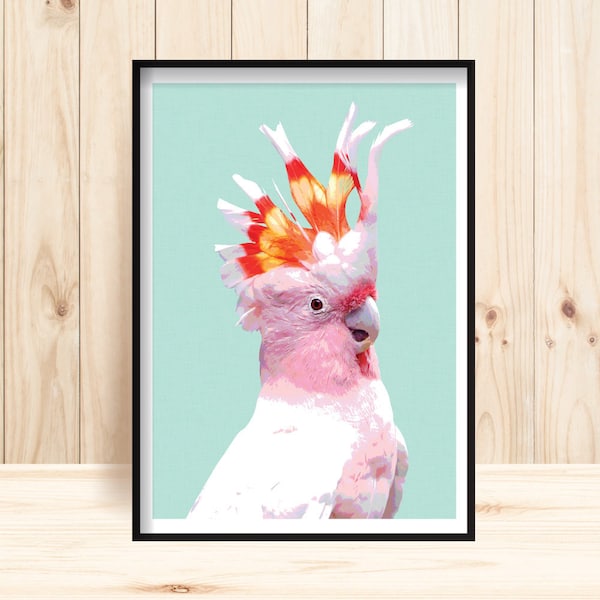 Galah Wall Art, Australian Parrot Prints, Major Mitchell Cockatoo, Pink Parrot, Galah Printables, Parrot Art, Parrot Instant Download, Cocky