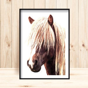 Horse Print, Large Horse Print, Icelandic Horse, Horse Printable, Horse Wall Art, Horse Portrait, Photographic Horse Print, Wild Horse Print