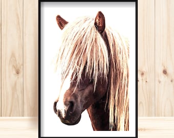 Horse Print, Large Horse Print, Icelandic Horse, Horse Printable, Horse Wall Art, Horse Portrait, Photographic Horse Print, Wild Horse Print