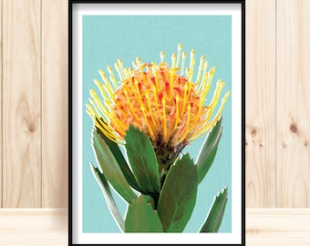 Wildflower Printable, Printable Flower, Pincushion Protea Print, Protea Printable, Protea Instant Download, Printable Flower Art, Home Decor