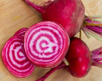 - 20 seeds BEETROOT ..performance /& quality Golden Globe Hybrid BOLDOR