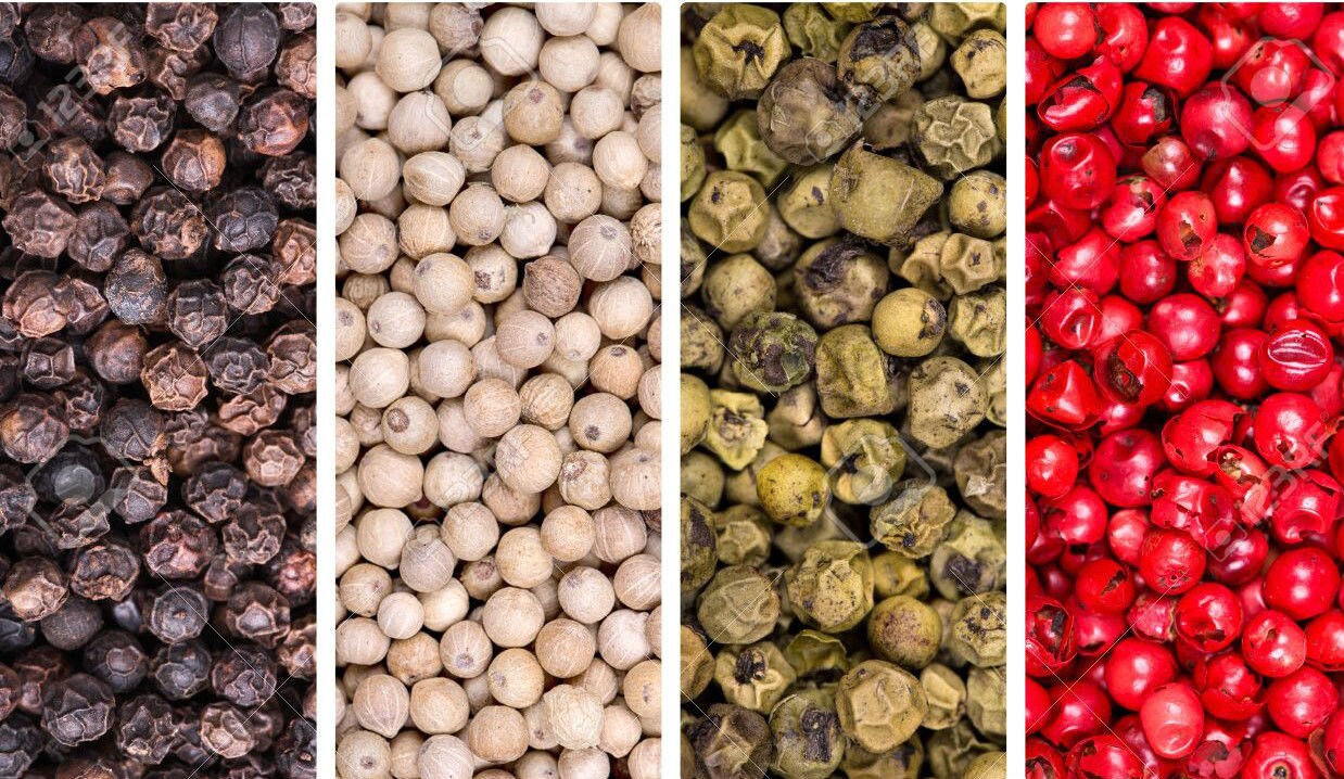 MIXED PEPPERCORN SEEDS Grow Your Own 4 Colors 400 Seeds Etsy