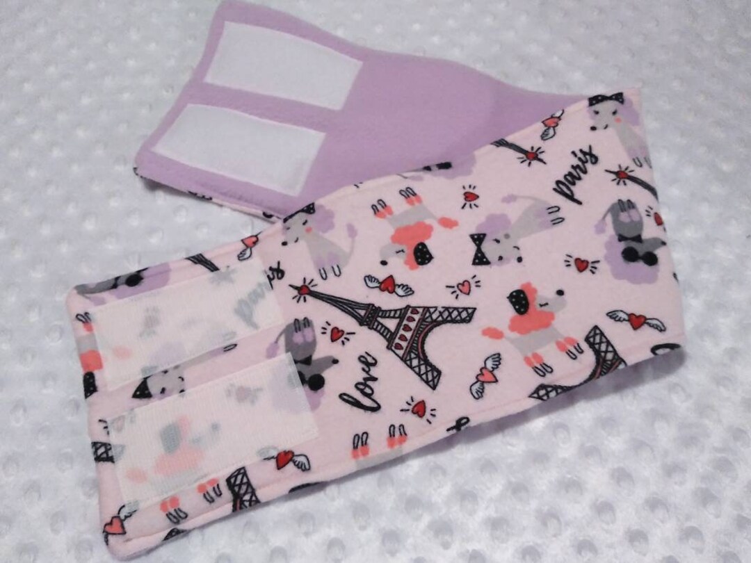 Paris Padded Feeding Tube Belt, Belly Band for G Tube or GJ Tube, Gi