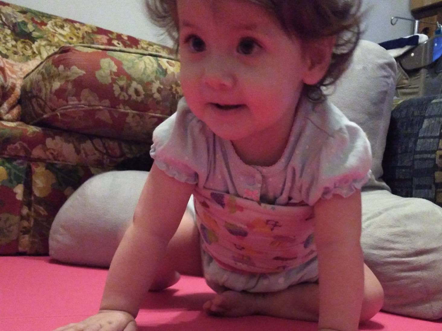 License Plate Padded Feeding Tube Belt Belly Band for G Tube Etsy