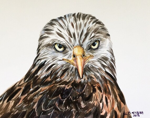 Common Buzzard Portrait Eagle Portrait Predator Bird Wildlife Bird Nature Art Original Watercolor Painting