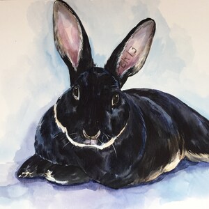 Custom pet portrait, Bunny pet portrait, bunny drawing, rabbit portrait, commission art, Mother's day  gift, dog portrait, cat portrait