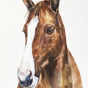 HAND-PAINTED horse PORTRAIT, horse commissioned order, Christmas gift, horse painting, horse drawing, horse watercolor, horse painting